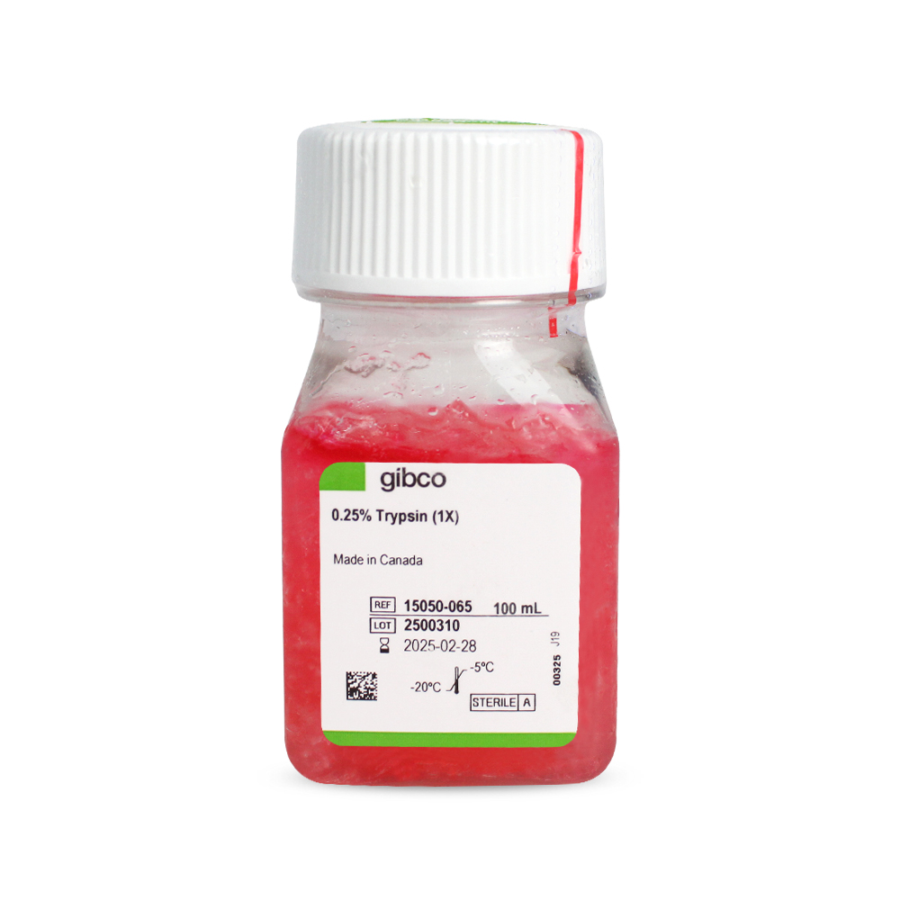 胰酶細(xì)胞消化液（0.25%胰酶，不含EDTA，含酚紅）