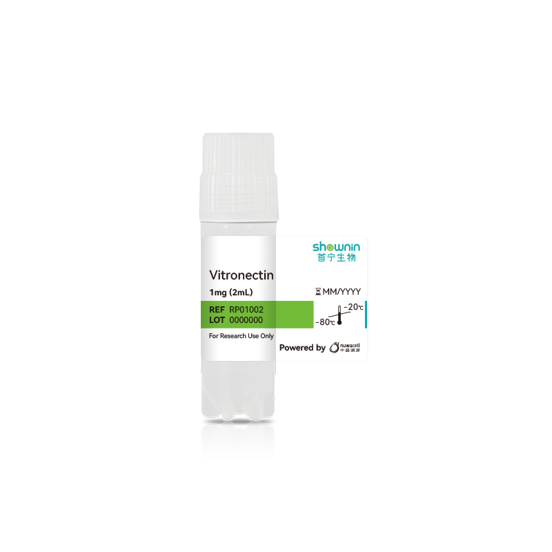 Vitronectin