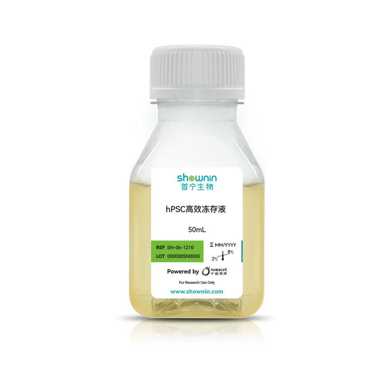 hPSC高效凍存液